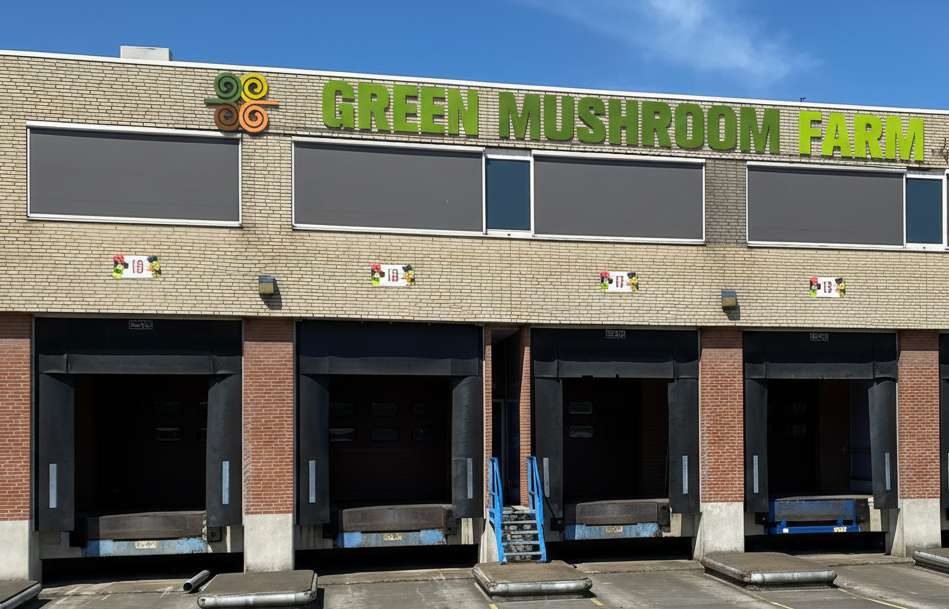 Green Mushroom Farm headquarters in De Lier