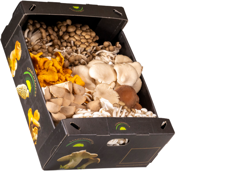 Foodservice crates — real GMF packaging
