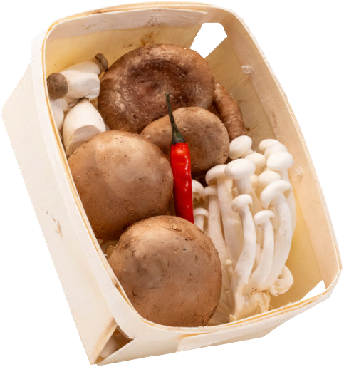 Champignon Soup Mix — real GMF photography