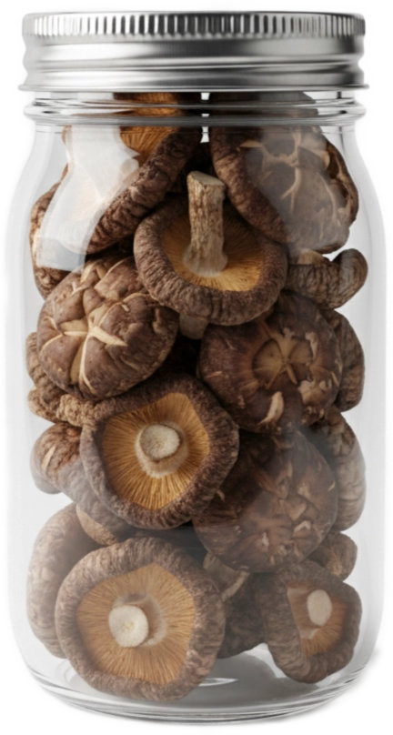 Dried Girolles — real GMF photography