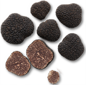 Black Truffle — real GMF photography