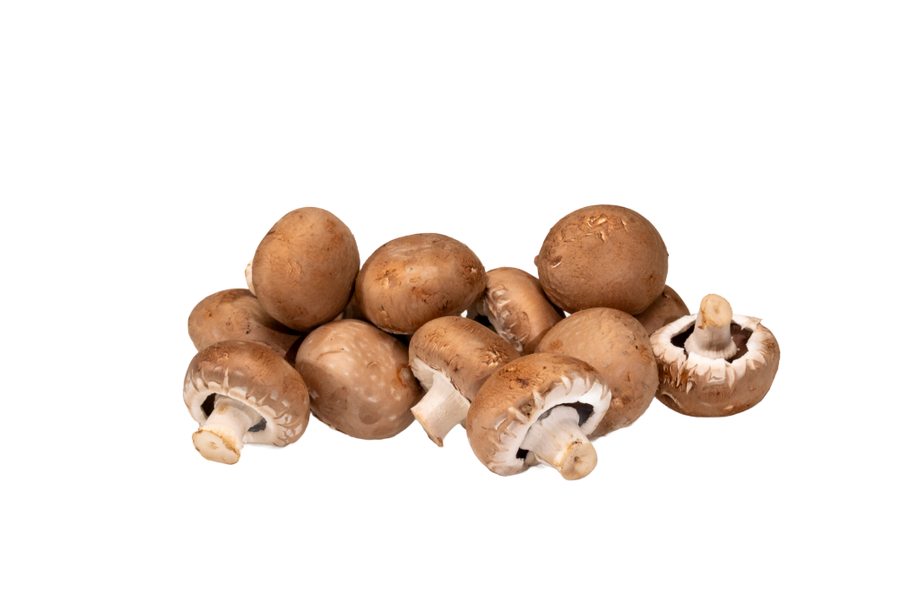 Chestnut Mushroom — real GMF photography