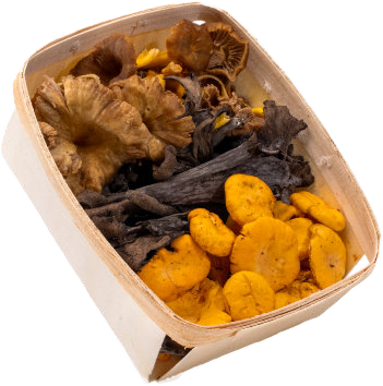 Wild Mix 1 kg — real GMF photography