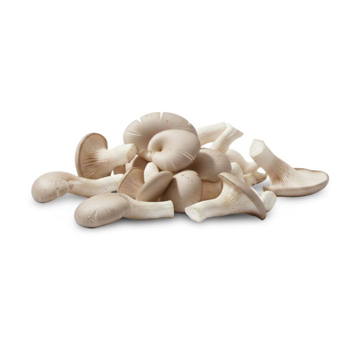 Grey Oyster — real GMF photography