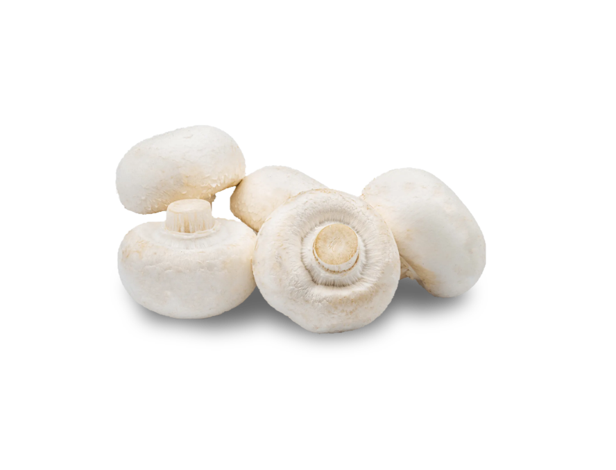 White Mushroom — real GMF photography