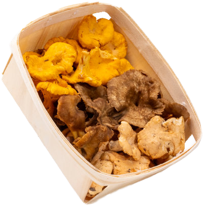 Wild Mix 250 g — real GMF photography