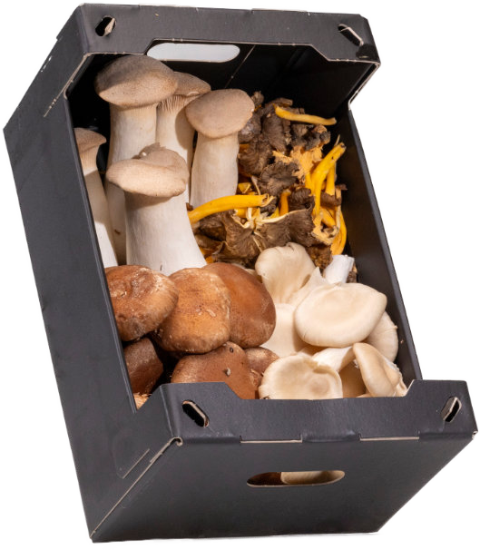 Pasta Mix 200 g — real GMF photography